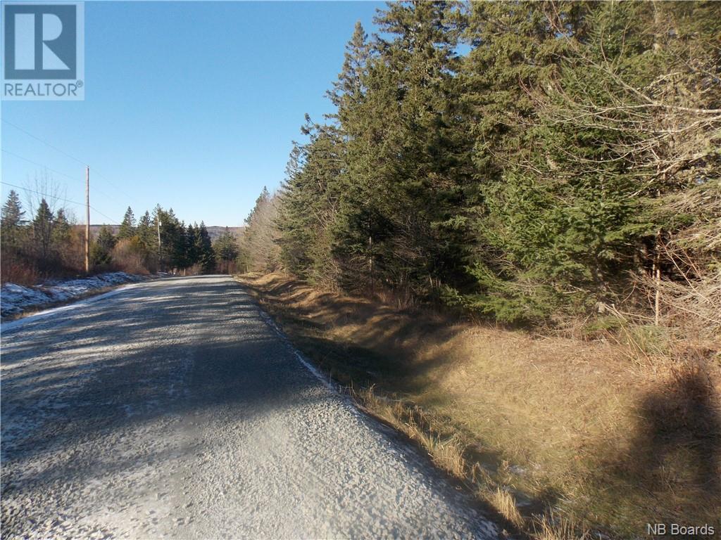 0 Collier Mountain Road, Out Of Board, New Brunswick  E4Z 1R6 - Photo 2 - NB084038
