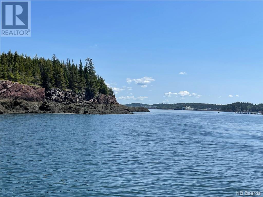 - Hills Island/mccann Island, Back Bay, New Brunswick  E5G 1G1 - Photo 5 - NB088761