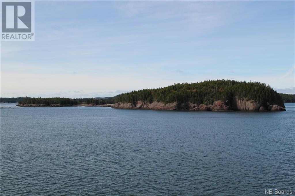 - Hills Island/mccann Island, Back Bay, New Brunswick  E5G 1G1 - Photo 3 - NB088749