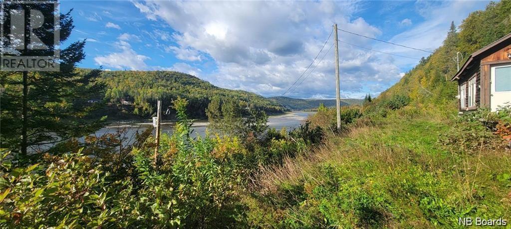 - Restigouche River Road, Mann Mountain Settlement, New Brunswick  E3N 4X1 - Photo 19 - NB094544