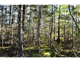 Lot 85-171 Harbour Heigths Drive, welshpool, New Brunswick